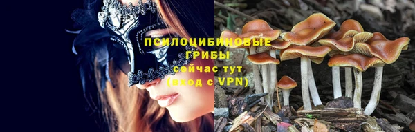 СК Абинск