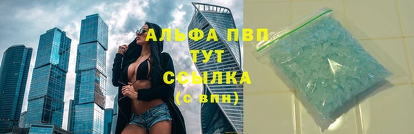 винт Абаза