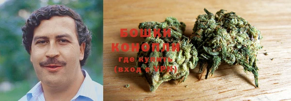 винт Абаза