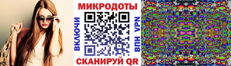 Псилоцибиновые грибы Psilocybe  Кириллов 